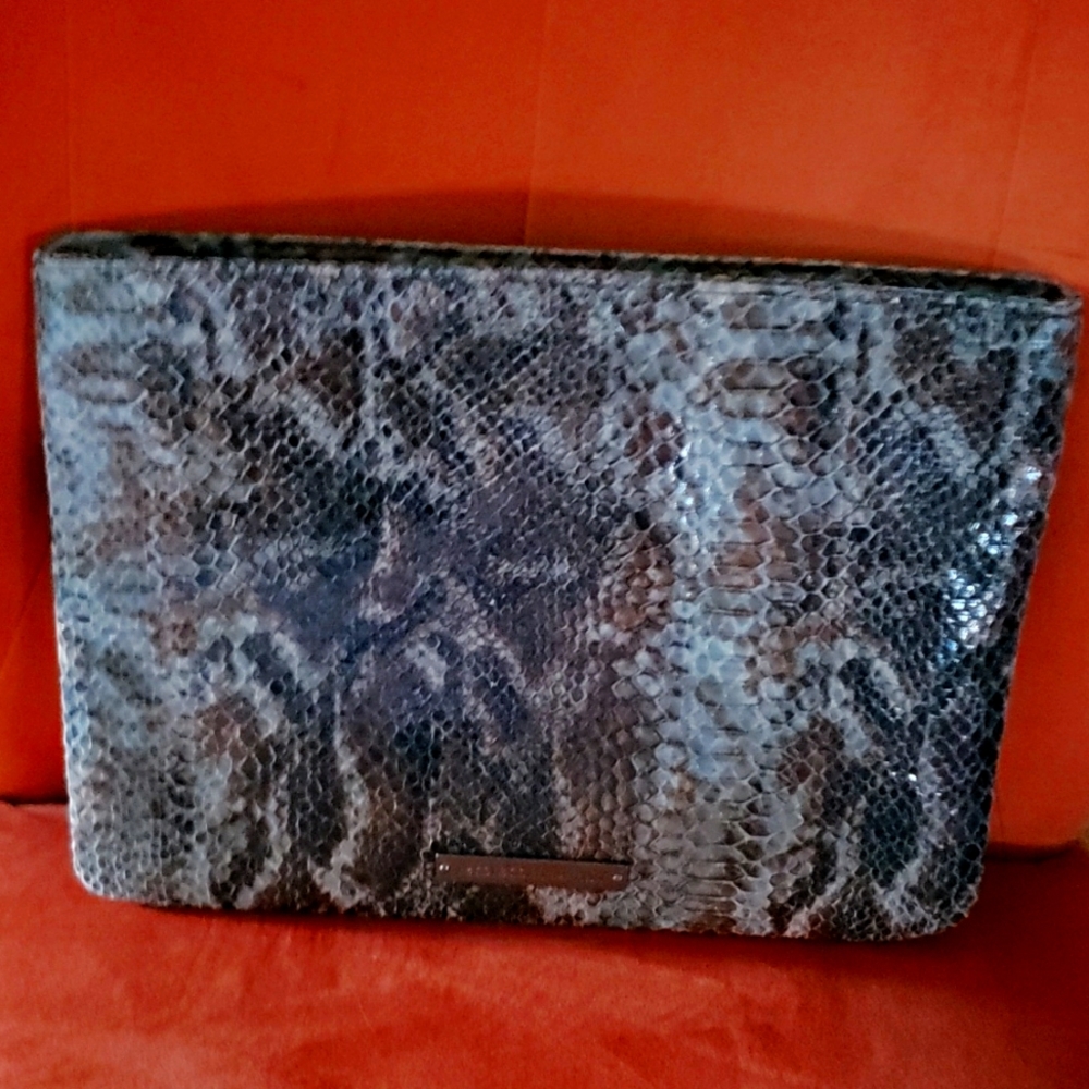 BCBG Clutch
